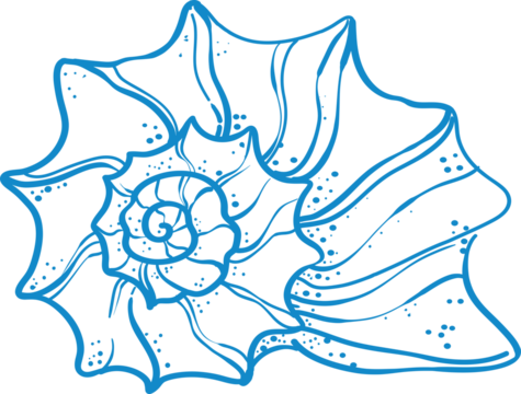 Elegant blue line art starfish illustration in minimal style. Perfect for beach prints, summer decor, marine logos, nautical patterns, and coastal wall art.