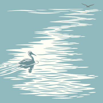 Pelican Swimming In Rippling Water With Bird Flying