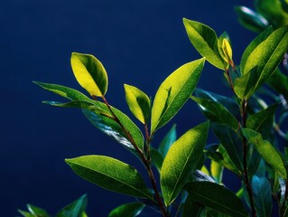 Vibrant Green Leaves Catching Sunlight Against Deep Blue Water Reflected Sky, Lush Foliage Glowing, Nature Beauty Tranquil Outdoor Scene