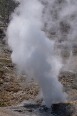 Large fumarole at the Porcelain Basin, Yellowstone National Park