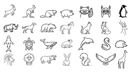 Obraz premium Collection of hand drawn line art illustrations of diverse animals from around the world including mammals birds and marine life