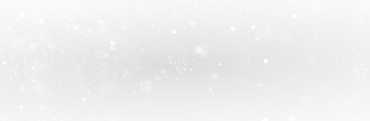 The winter background, falling snowflakes
PNG