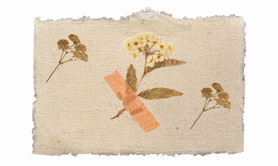Vintage Botanical Floral Collection on Brown Paper Background Illustration Vector. Botanical elements with pressed flowers and natural tones, ideal for collage, scrapbooking, and vintage art.