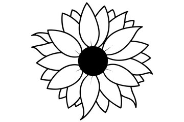 A sunflower