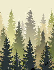 Obraz premium Foggy forest with pine trees in the early morning light, vector illustration