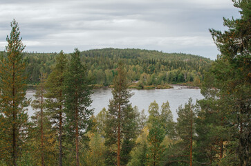 Obraz premium Forest River Landscape in Lapland, Finland