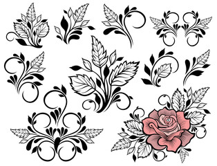 Hand drawn decor set. Set of floral elements. Rose design. Flower illustration