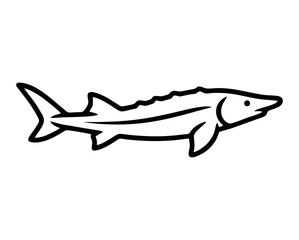 Vector isolated minimal black-and-white outline of a sturgeon with an elongated body and scutes — simple line-art fish silhouette ideal for logos, icons, or educational use.
