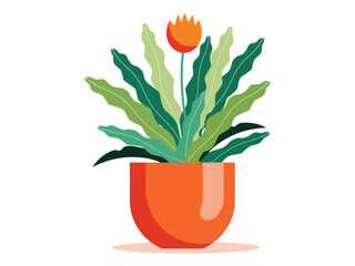 Vibrant orange potted plant with green leaves and a bright orange flower isolated on white background