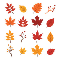 Colorful autumn leaves isolated on white background, showcasing a variety of shapes and vibrant seasonal hues