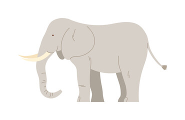 Obraz premium Simple isolated African elephant on white background for wildlife and safari themes vector illustration