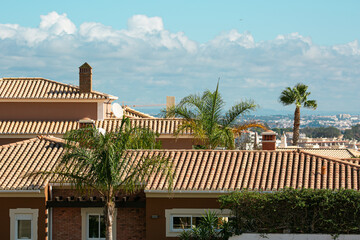 Bricks roof with palms with panorama view 
