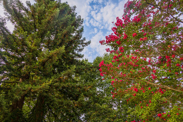 Le parc du Ch&acirc;teau de Betan &agrave; Beylongue en France