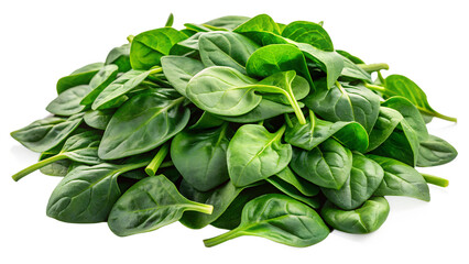 spinach leaves isolated on transparent white background full depth of field clipping path