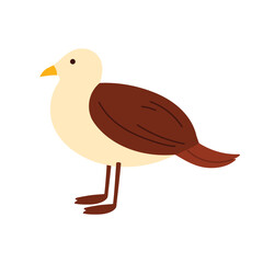 Minimal flat turkey bird on white background, isolated and perfect for Thanksgiving or educational use vector illustration