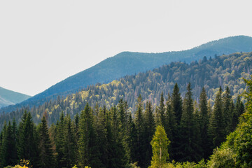 Scenic view of lush green mountains and forests under bright sky during daylight hours