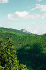 Naklejka premium Lush green mountains and trees under a clear blue sky in a serene landscape view