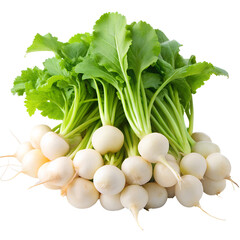 Fresh White Radishes with Green Leaves on Black Background root vegetable isolated on a transparent background