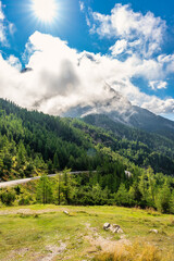 Fototapety na wymiar - Fototapeta24.pl