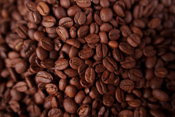 close-up of richly textured coffee beans displaying a range of warm brown hues, emphasizing natural patterns, rough surfaces, and aromatic qualities indicating freshness and quality, lustrous