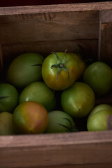 Fresh harvested raw green tomatoes in a wooden box.