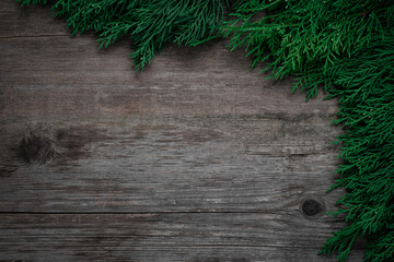 Rustic Wood Background with Green Pine Border