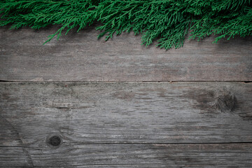 Rustic Wood Background with Green Pine Top