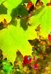 Green Pre -Fall or Pre-Autumn Maple Leaves on a Tree Branch in Forefront w/ Vibrant Orange & Green Leaves in Background-Border, Backdrop, Wallpaper, Frame (filtered photo w/Texture)