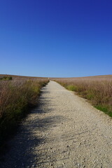 Dirt road across open grassland under blue sky