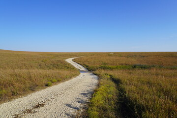 Naklejka premium Dirt road across open grassland under blue sky