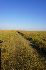 Kansas Prairie under blue sky