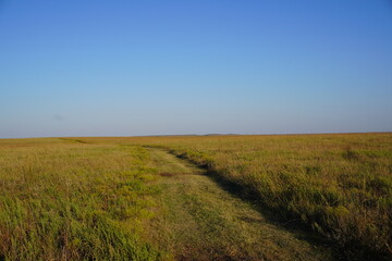 Dirt road across open grassland under blue sky