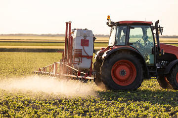 Tractor spraying crops in a lush green field at sunset.