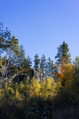 Autumn forest and rocks under a blue sky on a sunny day. Cat Rocks, Czech Republic
