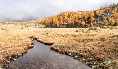 Valmalenco in autunno col foliage