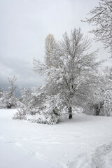 Panorama of South Park in city of Sofia, Bulgaria