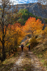 Obraz premium Nel vallone di Colombata (Acceglio-Valle Maira) in un pomeriggio di autunno