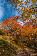 Nel vallone di Colombata (Acceglio-Valle Maira) in un pomeriggio di autunno