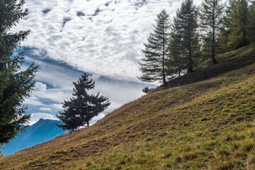 Nel vallone di Colombata (Acceglio-Valle Maira) in un pomeriggio di autunno