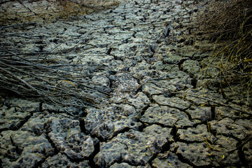 texture of the soil