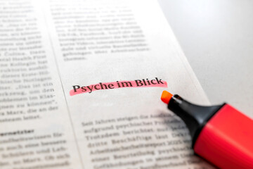 Auszug eines Zeitungsartikels mit der Überschrift "Psyche im Blick" in deutscher Sprache