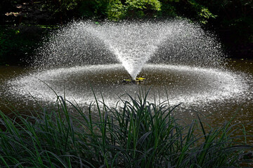 fontanna ogorodowa tworząca na stawie kolisty krąg świetlny, oświetlona słńcem tryskająca fontanna, fontanna w słońcu, fountain in the pond, garden fountain creating a circle of light on the pond  © kateej