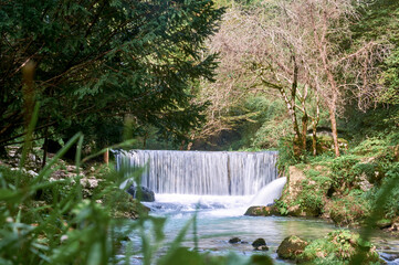 A powerful spring waterfall cascades into a river where seasonal meltwater creates dynamic water movement.