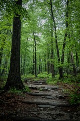 Hiking in Annapolis Rocks