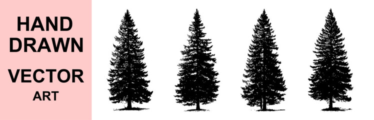 Hand drawn evergreen pine tree vector silhouette illustration, realistic forest nature conifer tree black and white art, detailed wilderness landscape design for outdoor and natural projects