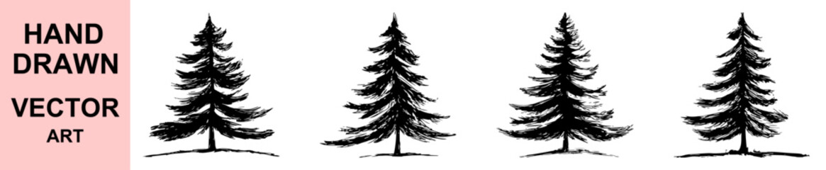 Detailed hand drawn pine tree vector illustration, forest evergreen conifer tree sketch art, black and white nature silhouette design for landscape, outdoor and wilderness themed projects