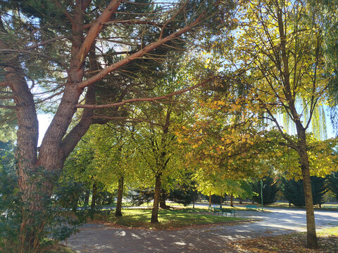 Parques en oto&ntilde;o de Burgos, Espa&ntilde;a