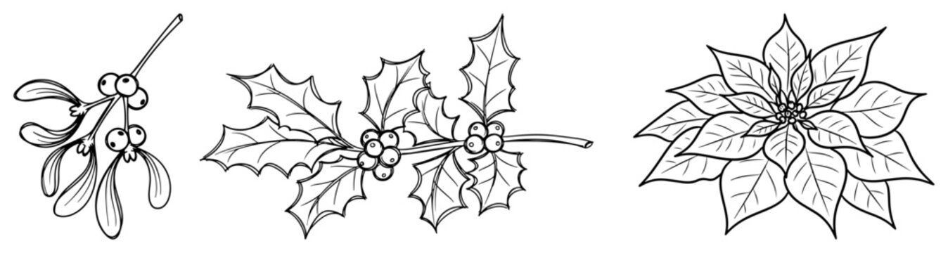 Christmas botanical elements &ndash; mistletoe, holly and poinsettia line art set