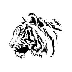 Tiger head vector illustration. Hand draw animals head design