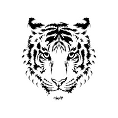 Tiger head vector illustration. Hand draw animals head design